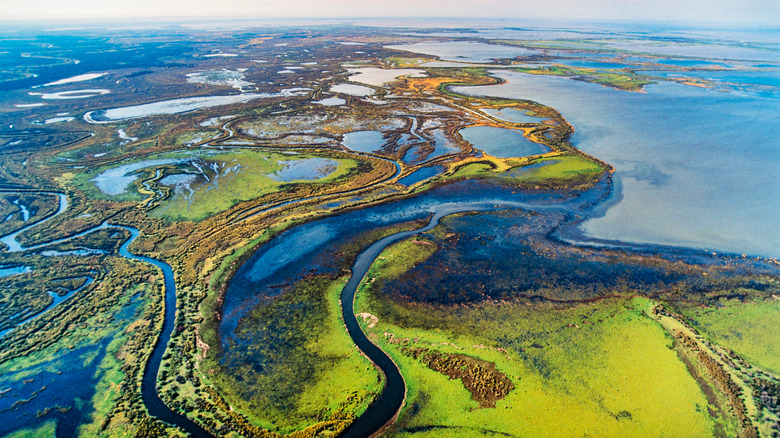 Ariel View of the wetlands of Wood Buffalo National Park