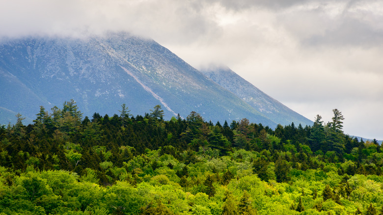 Clouds covering mountain peaks over a green forest 