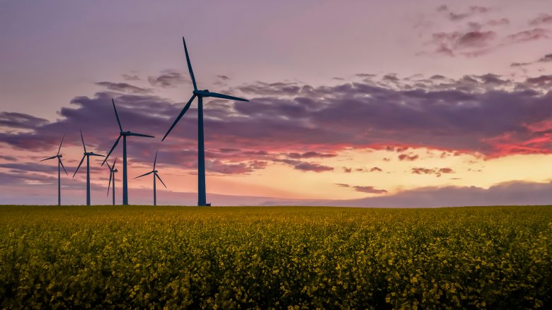 denmark wind turbines