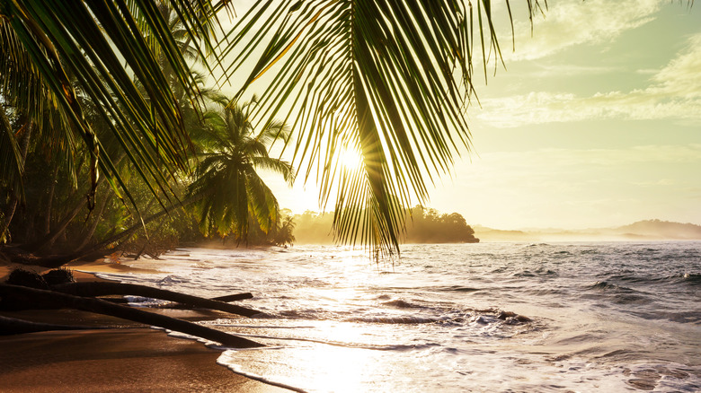 costa rica beach tropical