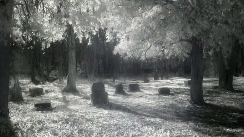 bachelor's grove cemetery