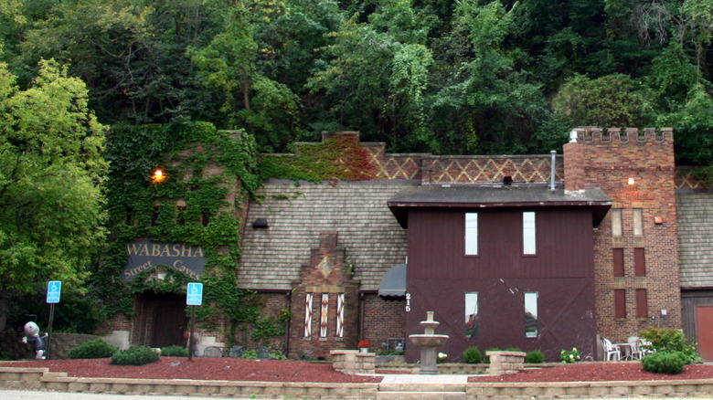 wabasha street caves