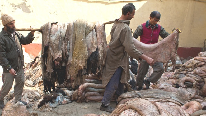 Tanners carrying raw hides