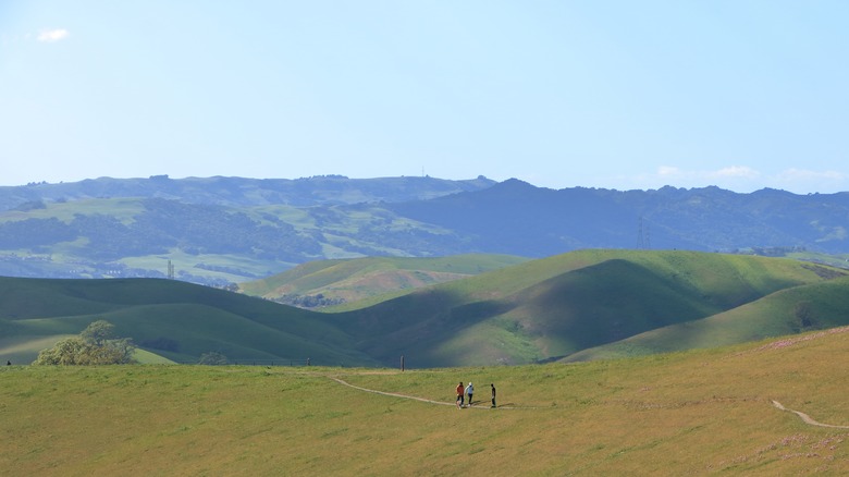 Tassajara Valley, site of crash