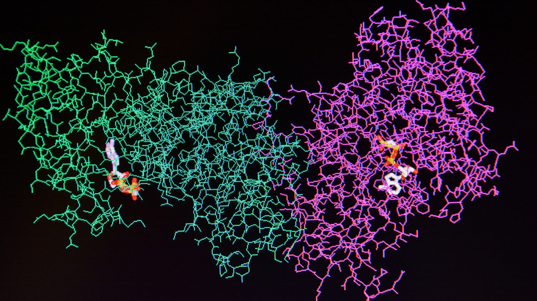 protein structure on black background