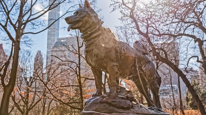 statue of balto the sled dog
