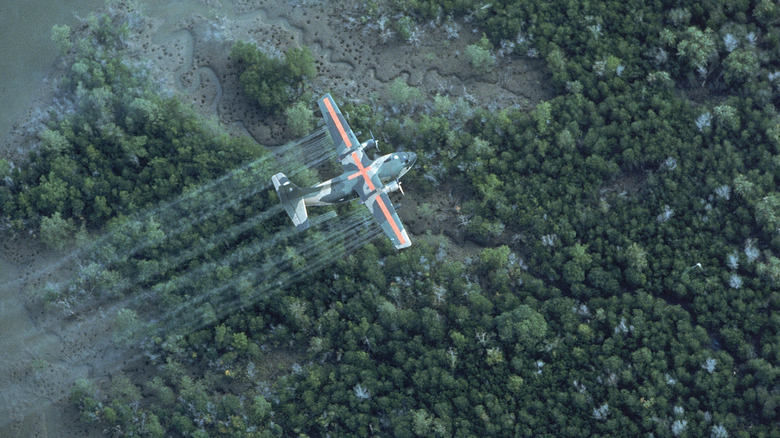 Military plan dropping Agent Orange onto woods in Vietnam