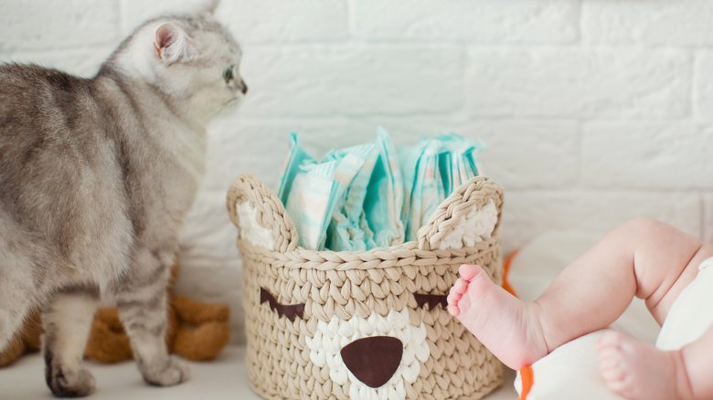 cat with baby