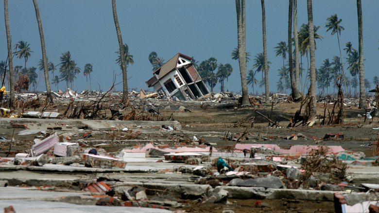 devastation from 2004 tsunami 