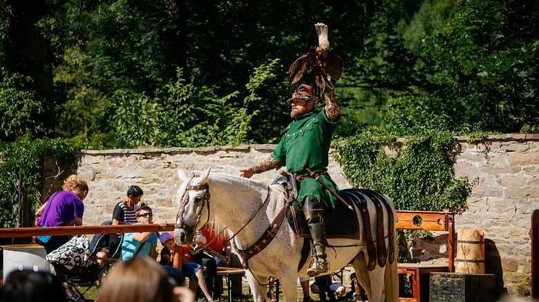 Falconer Renaissance fair