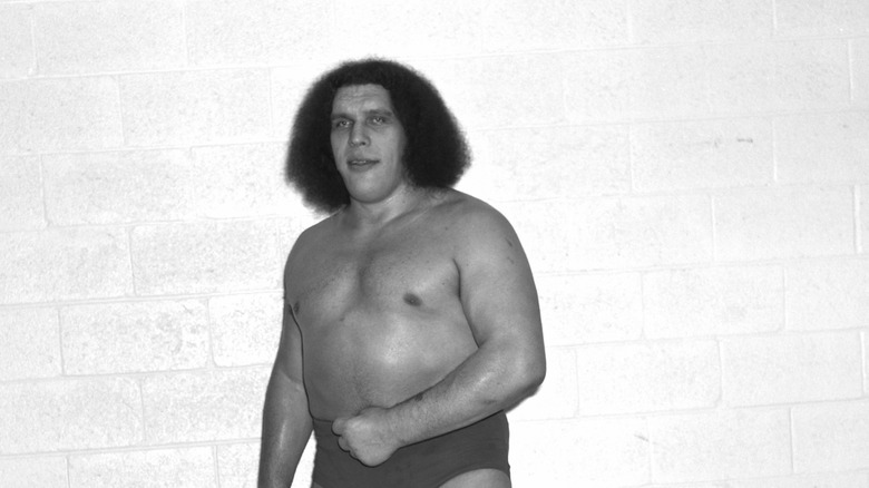 Andre the Giant posing for a photo