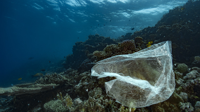 ocean floor plastic bag