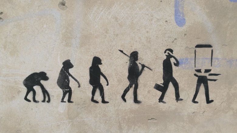 apes evolution