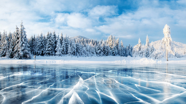 illustration of frozen lake with snowy trees