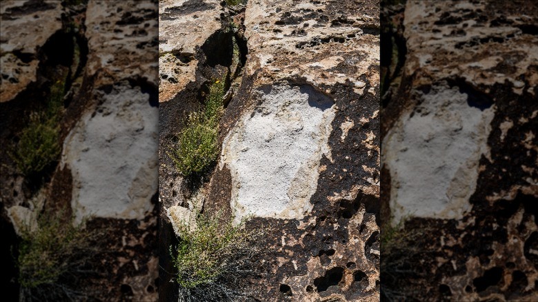 A rock broken by a tourist in a national park