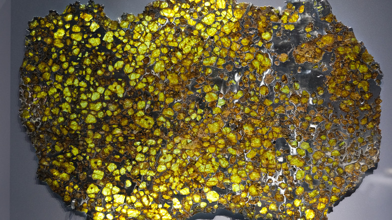 Pallasite Meteorite