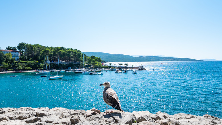 Veglia, Croatia, shoreline