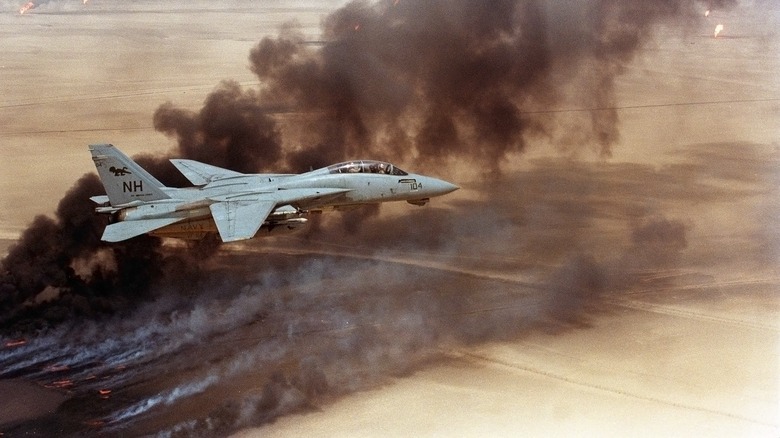 American F-14 during the Gulf War