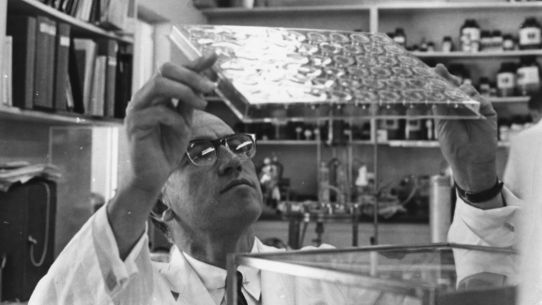 Dr. Salk in his lab