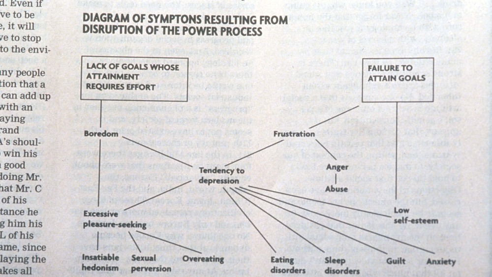 Diagram from Unabomber manifesto