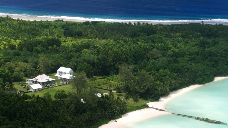 Coconut Plantation Chagos Archipelago