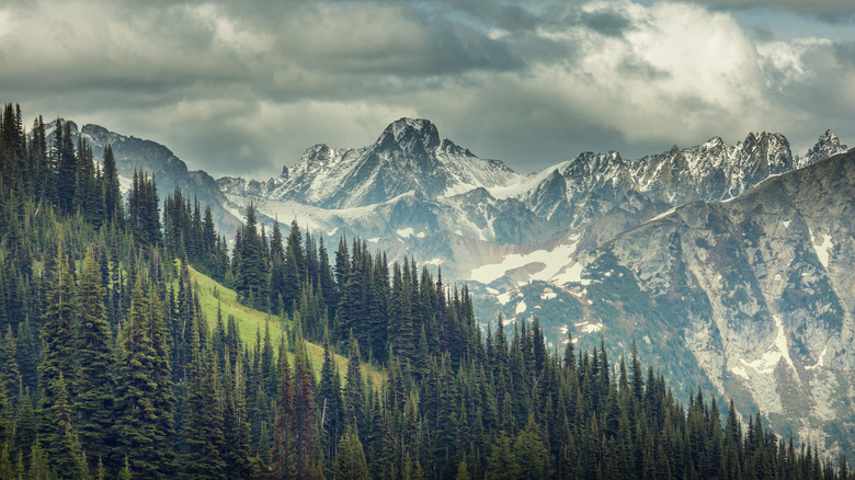 Cascade Mountains of Washington 