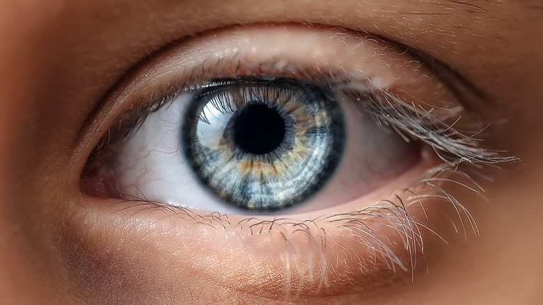 Close-up of a human eye
