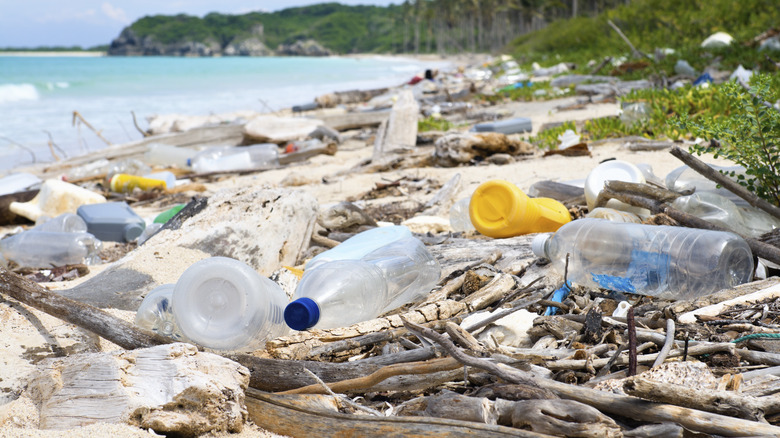 plastic garbage on beach