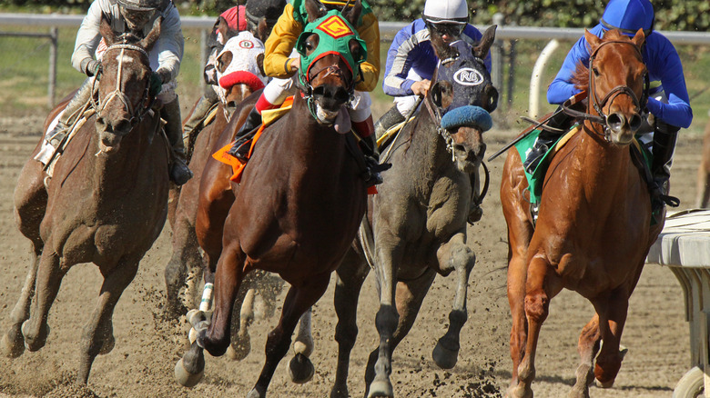 Santa Anita racetrack, 2013