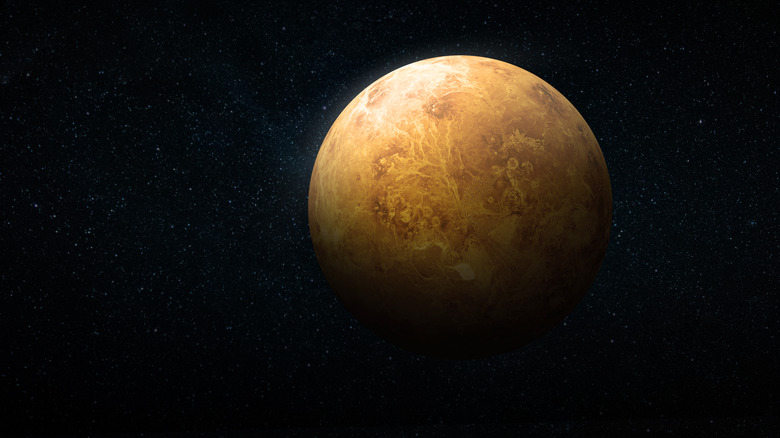 Stock photo of Venus