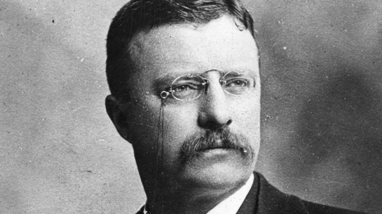 President Teddy Roosevelt portrait