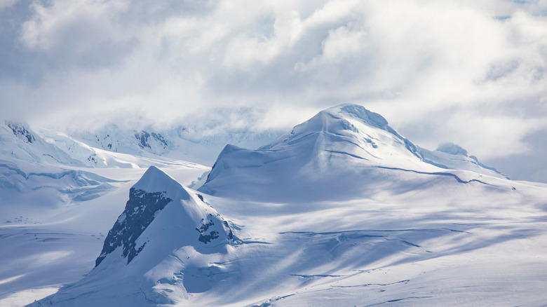 Antarctic landscape