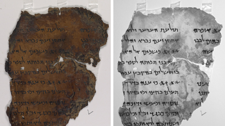 Fragments of Dead Sea Scrolls