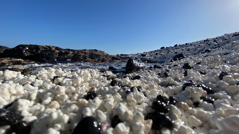 View of Popcorn Beach