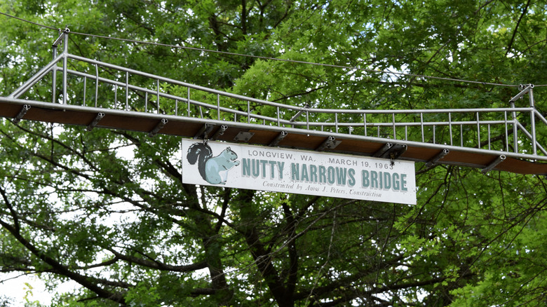 Nutty Narrows Bridge in Longview, Washington