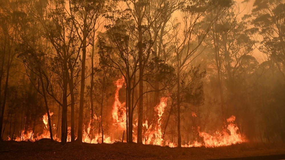 Australian Wildfires