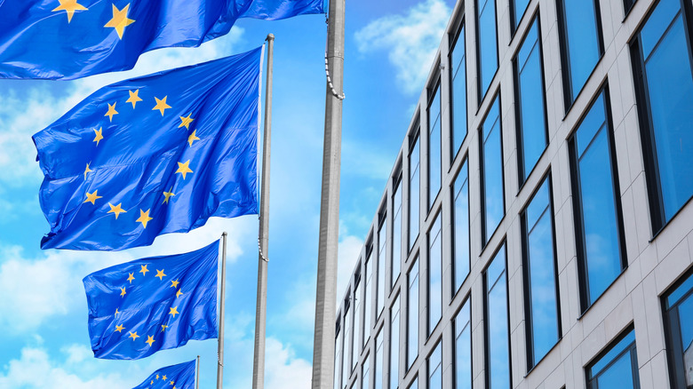 European Union flags outside by office block