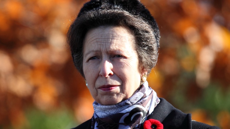 Princess Anne and Canadian Governor General David Johnston placed a wreath at the National War Memorial in Ottawa during her two-day visit to the city.