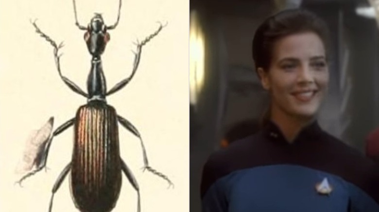 agra beetle and jadzia dax smiling