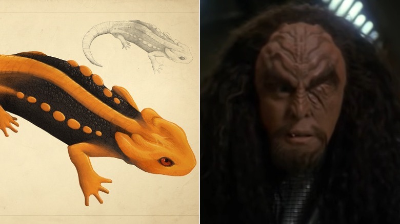 klingon newt and general martok