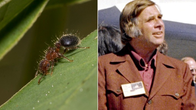 insect on leaf and gene roddenberry smiling