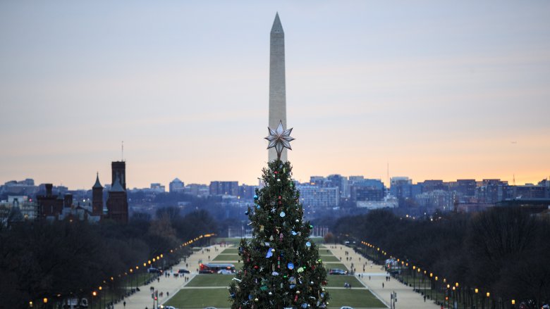 u.s. capital washington dc christmas tree