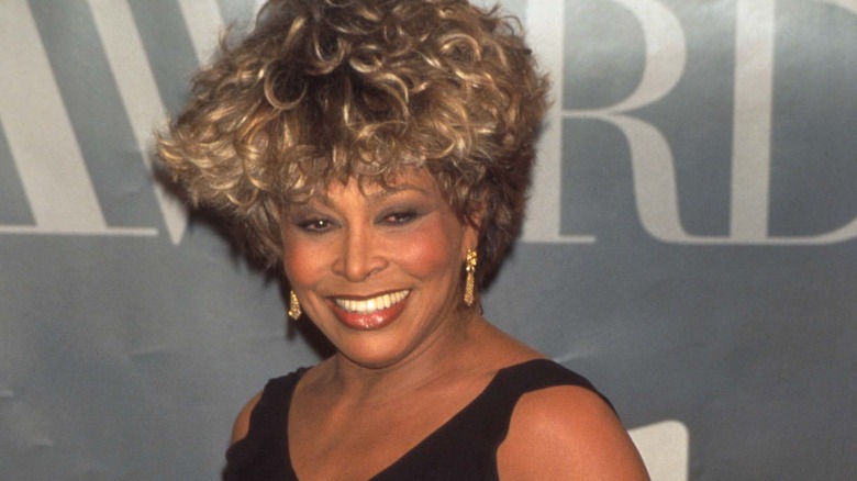 Tina Turner with big hair at an event