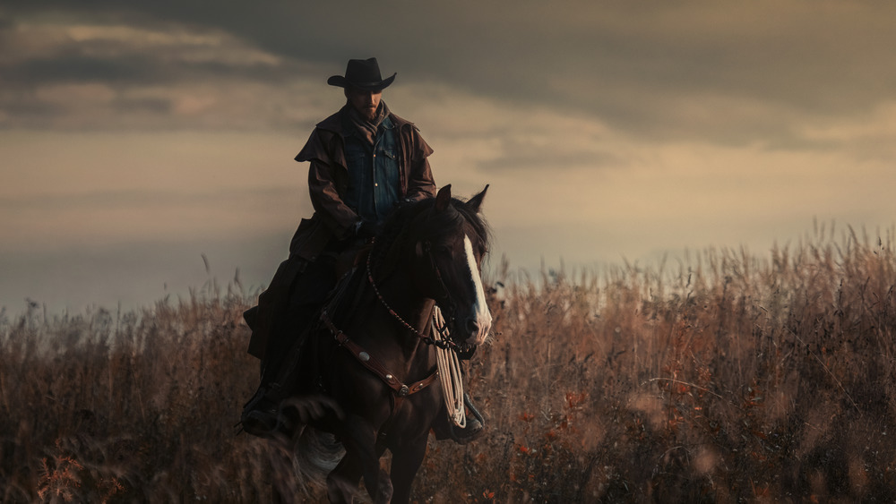 Cowboy on the range