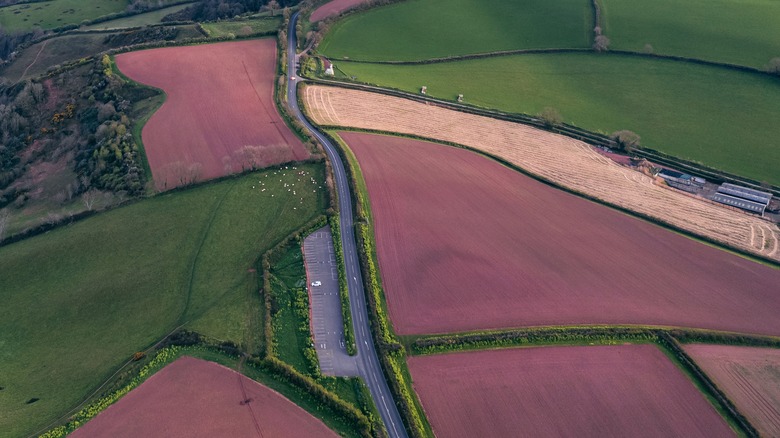 Overhead view of a Devon road