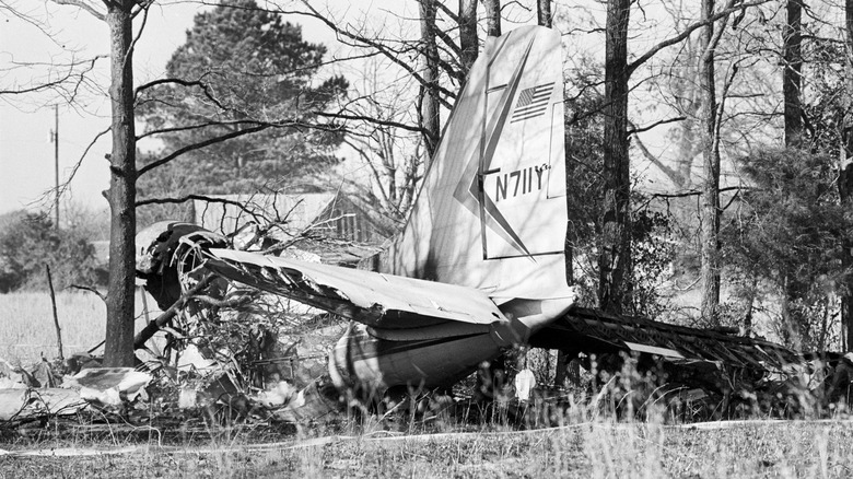 Rick Nelson's plane crash