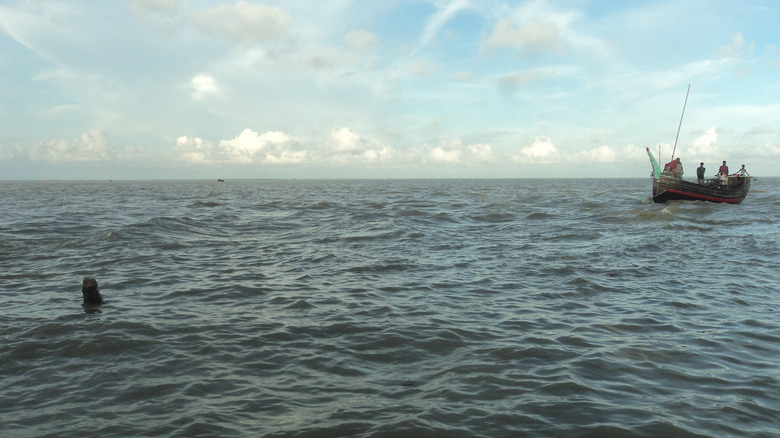 View of the Meghna river