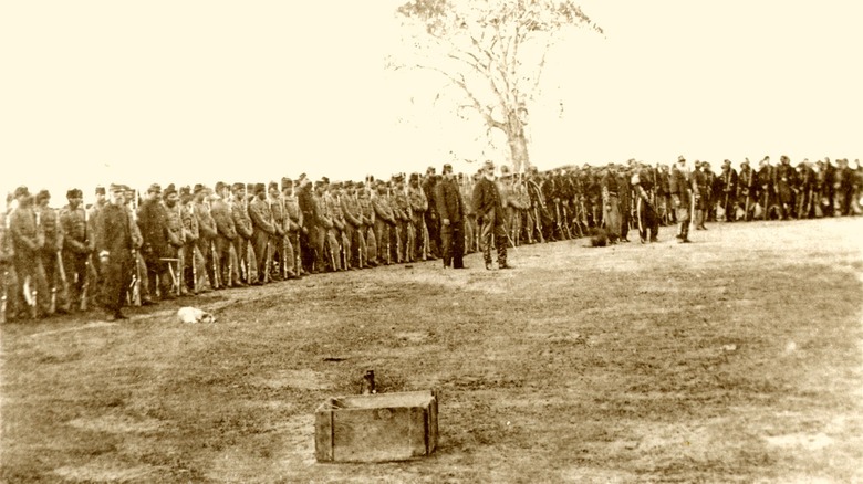 Soldiers standing in line rifles hill tree