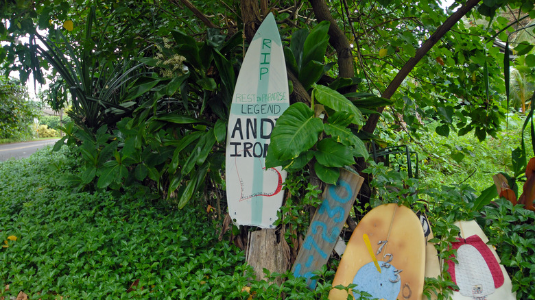 Andy Irons memorial 