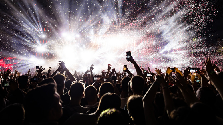 Music festival attendees watch fireworks